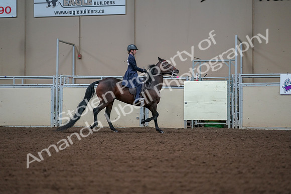2019 Morgan Horse Show - Aug 30, 2019 - 18092