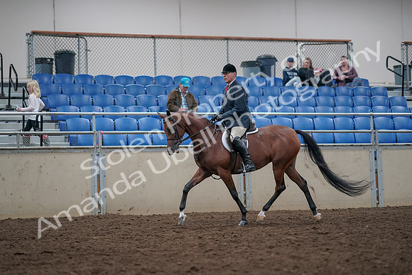 2019 Morgan Horse Show - Aug 31, 2019 - 14949