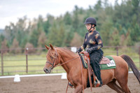 2019 Morgan Horse Show - Aug 30, 2019 - 00210