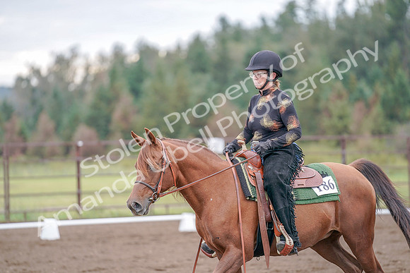 2019 Morgan Horse Show - Aug 30, 2019 - 00210