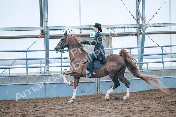 July 20, 2019 - 24053