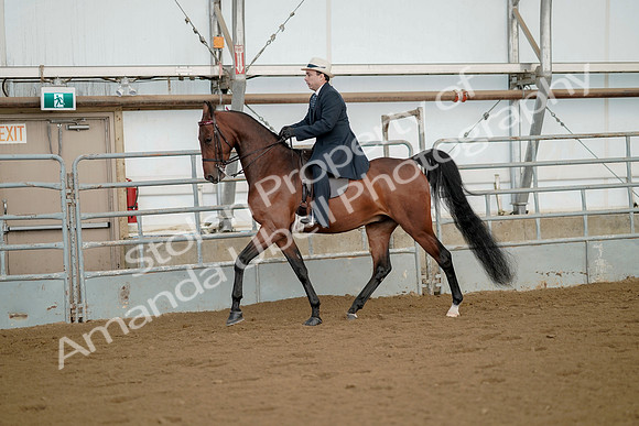 July 21, 2019 - 01558