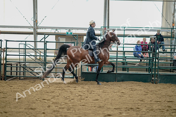 July 21, 2019 - 01864