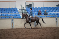 2019 Morgan Horse Show - Aug 31, 2019 - 16508