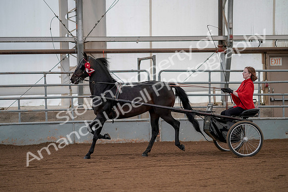 July 20, 2019 - 00327