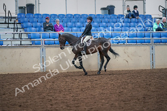 2019 Morgan Horse Show - Aug 30, 2019 - 20561