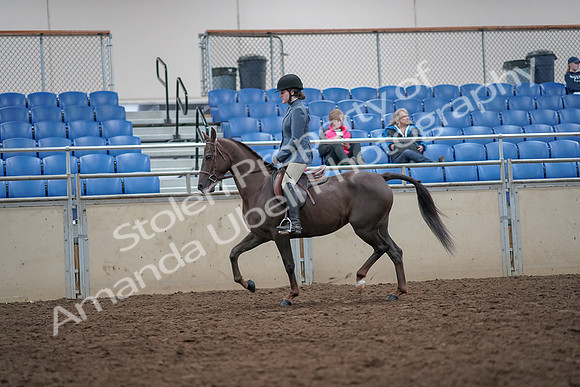 2019 Morgan Horse Show - Aug 31, 2019 - 16622