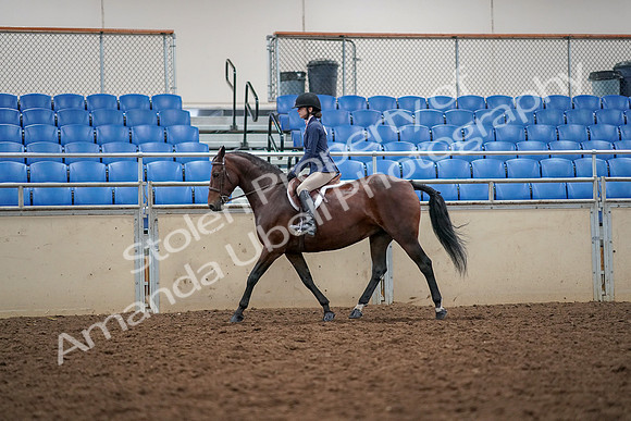 2019 Morgan Horse Show - Aug 30, 2019 - 23217
