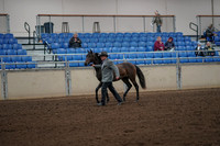 2019 Morgan Horse Show - Aug 30, 2019 - 25684