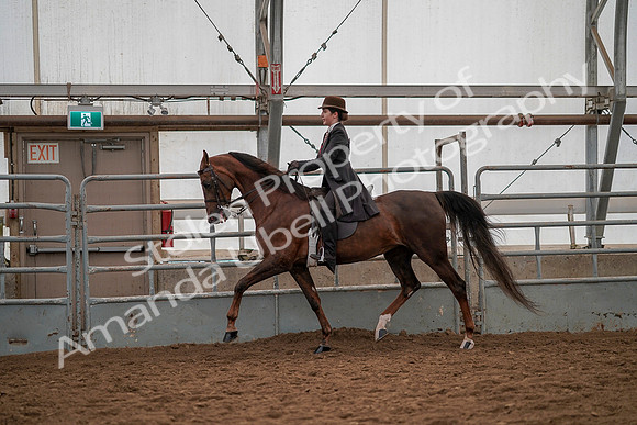 July 19, 2019 - 12804