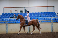 2019 Morgan Horse Show - Aug 30, 2019 - 21392