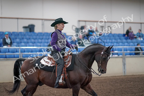 2019 Morgan Horse Show - Aug 31, 2019 - 10787
