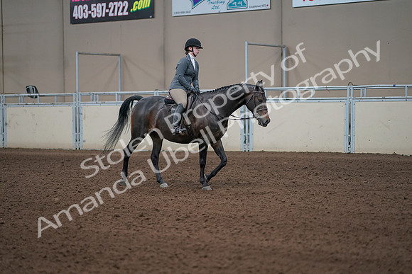 2019 Morgan Horse Show - Sept 01, 2019 - 11077