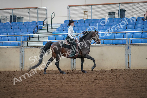 2019 Morgan Horse Show - Aug 30, 2019 - 16957