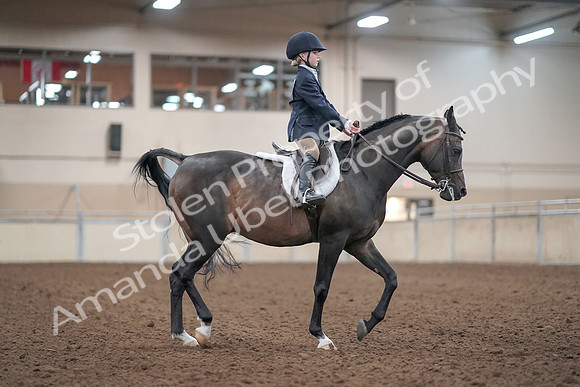 2019 Morgan Horse Show - Aug 31, 2019 - 19670