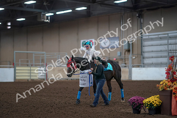 2019 Morgan Horse Show - Aug 31, 2019 - 10091