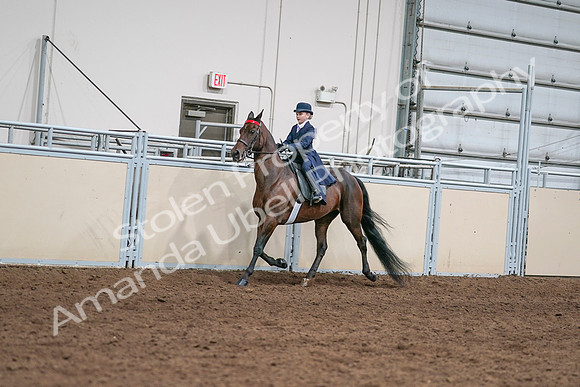 2020 - AB Morgan Horse - Sat, Sept 05 - 04799