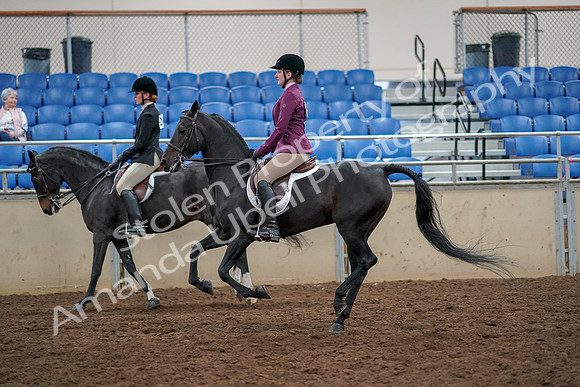 2019 Morgan Horse Show - Aug 30, 2019 - 23431