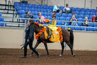 2020 - AB Morgan Horse - Sat, Sept 05 - 05770