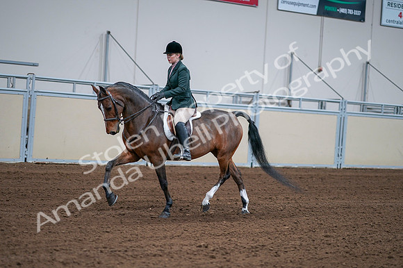 2020 - AB Morgan Horse - Fri, Sept 04 - 01694