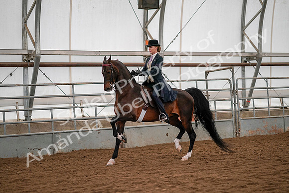July 19, 2019 - 10527