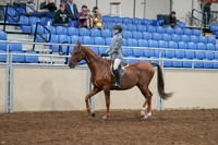 2020 - AB Morgan Horse - Sat, Sept 05 - 02604