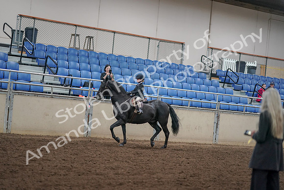 2019 Morgan Horse Show - Aug 30, 2019 - 12679