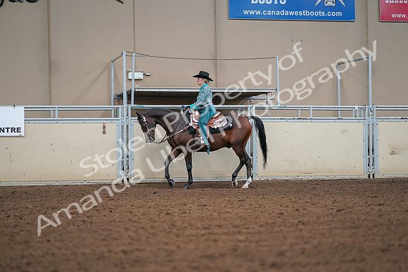 2019 Morgan Horse Show - Aug 30, 2019 - 16800