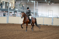 2020 - AB Morgan Horse - Fri, Sept 04 - 02226