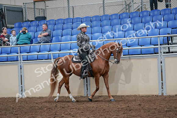 2020 - AB Morgan Horse - Sun, Sept 06 - 07547