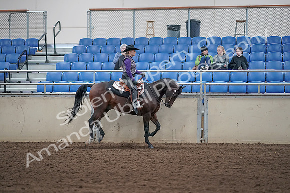 2019 Morgan Horse Show - Aug 31, 2019 - 10686