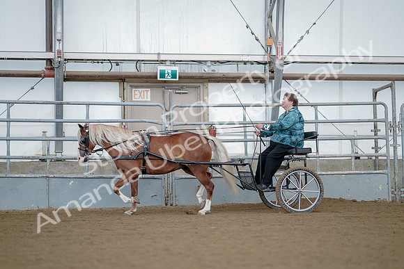 July 21, 2019 - 06791