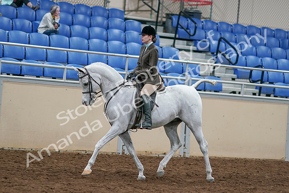 2020 - AB Morgan Horse - Sat, Sept 05 - 14437