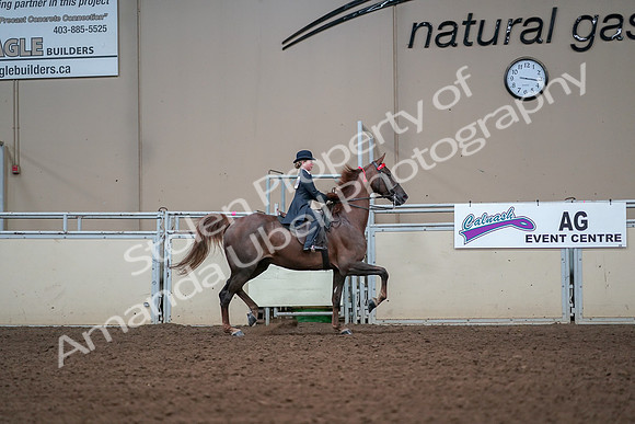 2019 Morgan Horse Show - Aug 30, 2019 - 17981