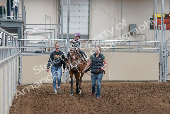 2020 - AB Morgan Horse - Sat, Sept 05 - 10062
