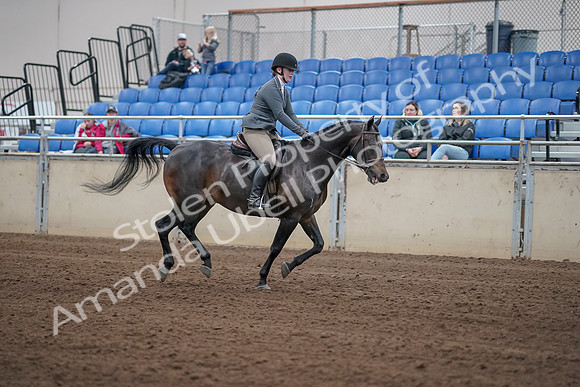 2019 Morgan Horse Show - Sept 01, 2019 - 11127