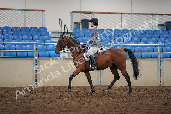 2019 Morgan Horse Show - Aug 30, 2019 - 23368