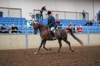 2019 Morgan Horse Show - Aug 30, 2019 - 17237