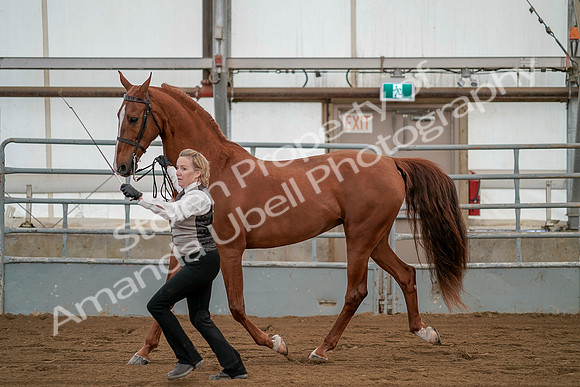July 19, 2019 - 1372