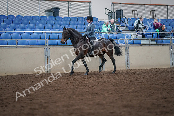 2019 Morgan Horse Show - Aug 30, 2019 - 18307