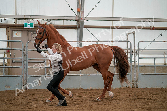 July 19, 2019 - 1360