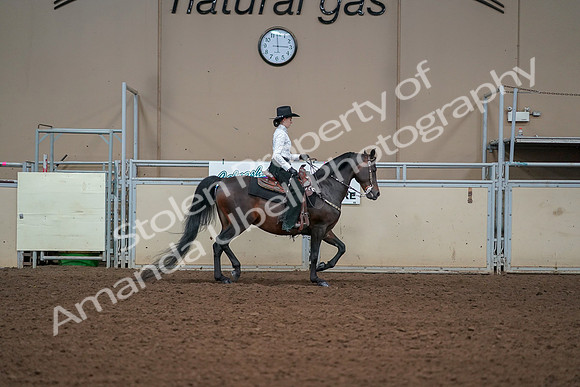 2019 Morgan Horse Show - Aug 30, 2019 - 17005
