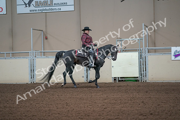 2019 Morgan Horse Show - Aug 31, 2019 - 10725