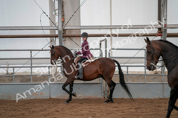 July 19, 2019 - 2401