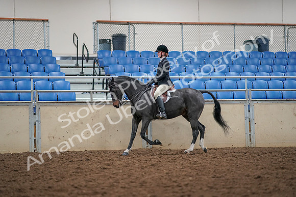 2019 Morgan Horse Show - Aug 30, 2019 - 23284