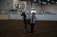 2019 Morgan Horse Show - Aug 31, 2019 - 00066