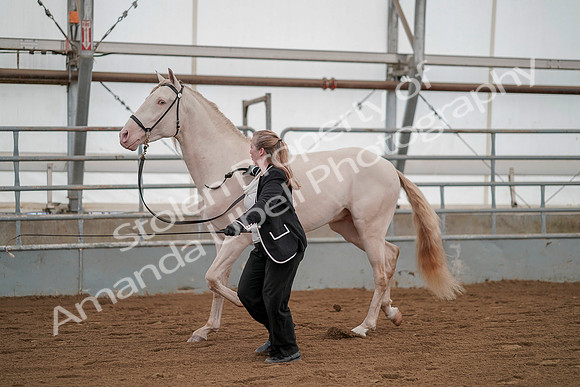 July 19, 2019 - 1324