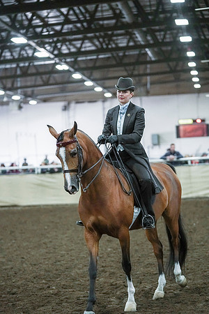 Spring Fling - Saturday - April 20, 2019  -  00879