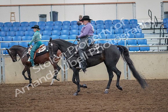 2019 Morgan Horse Show - Aug 30, 2019 - 16894