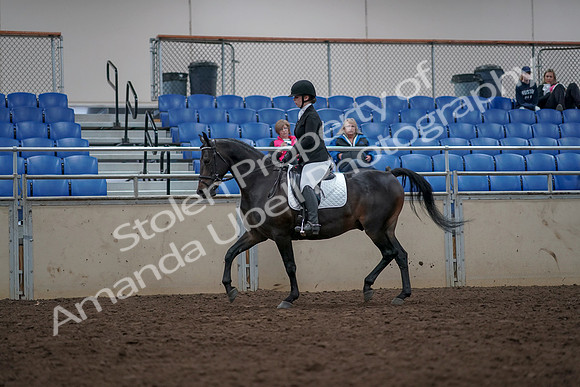 2019 Morgan Horse Show - Aug 31, 2019 - 16646